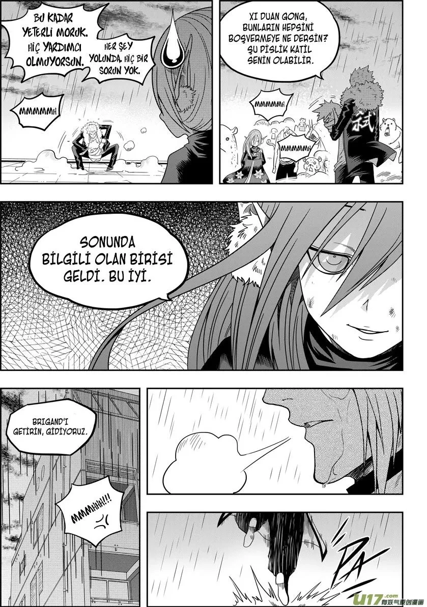 Sayfa 17