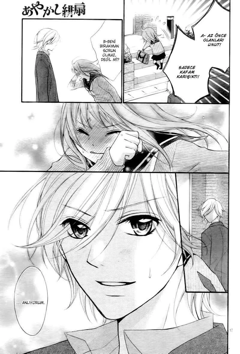 Sayfa 17