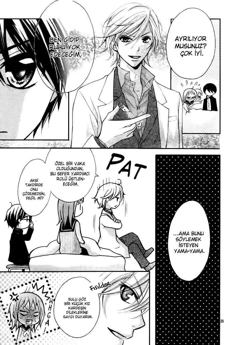 Sayfa 29