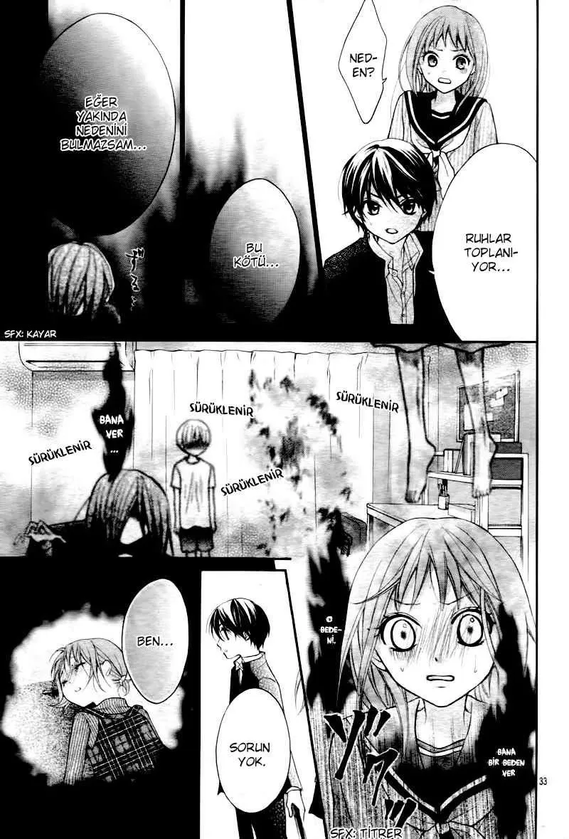 Sayfa 33