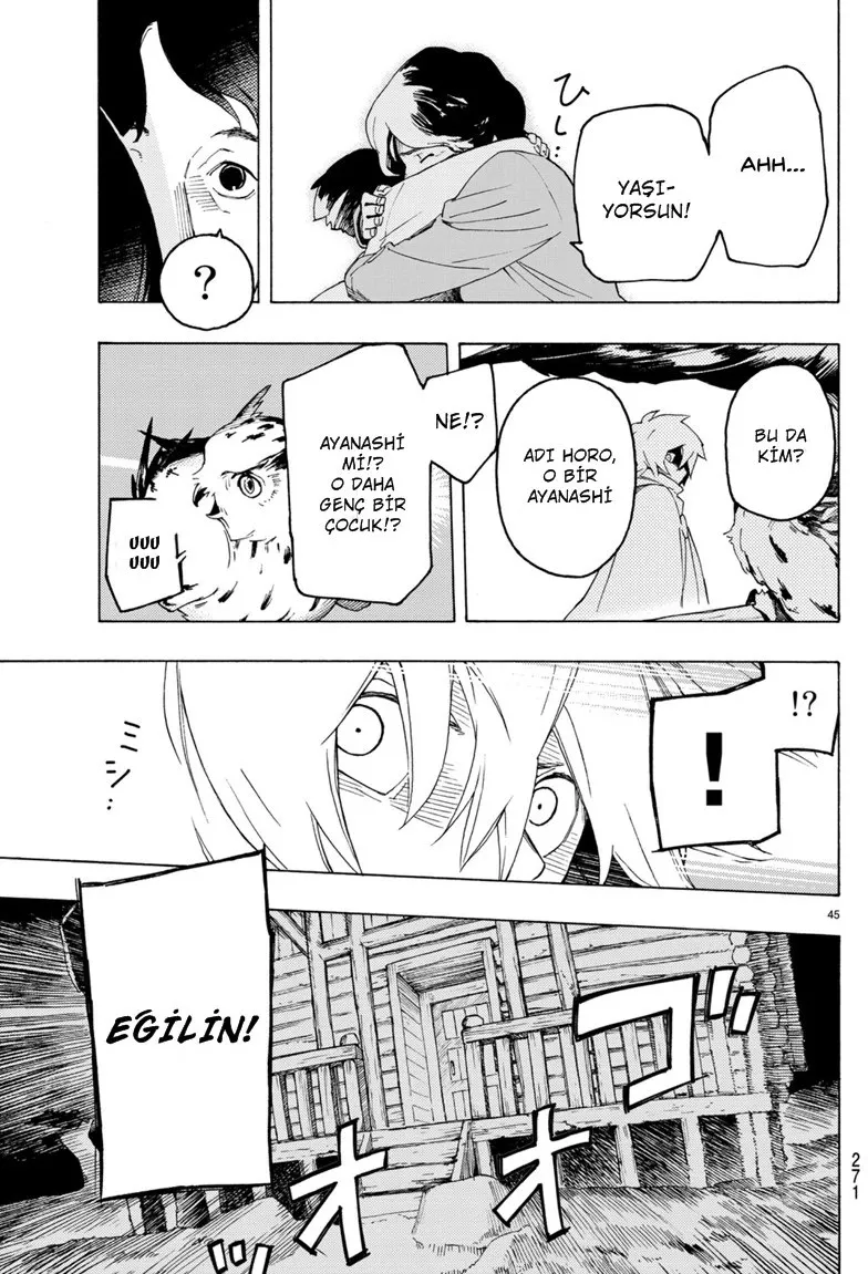 Sayfa 46