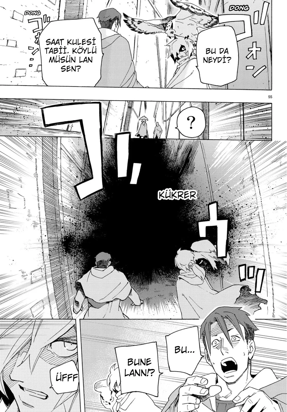 Sayfa 55