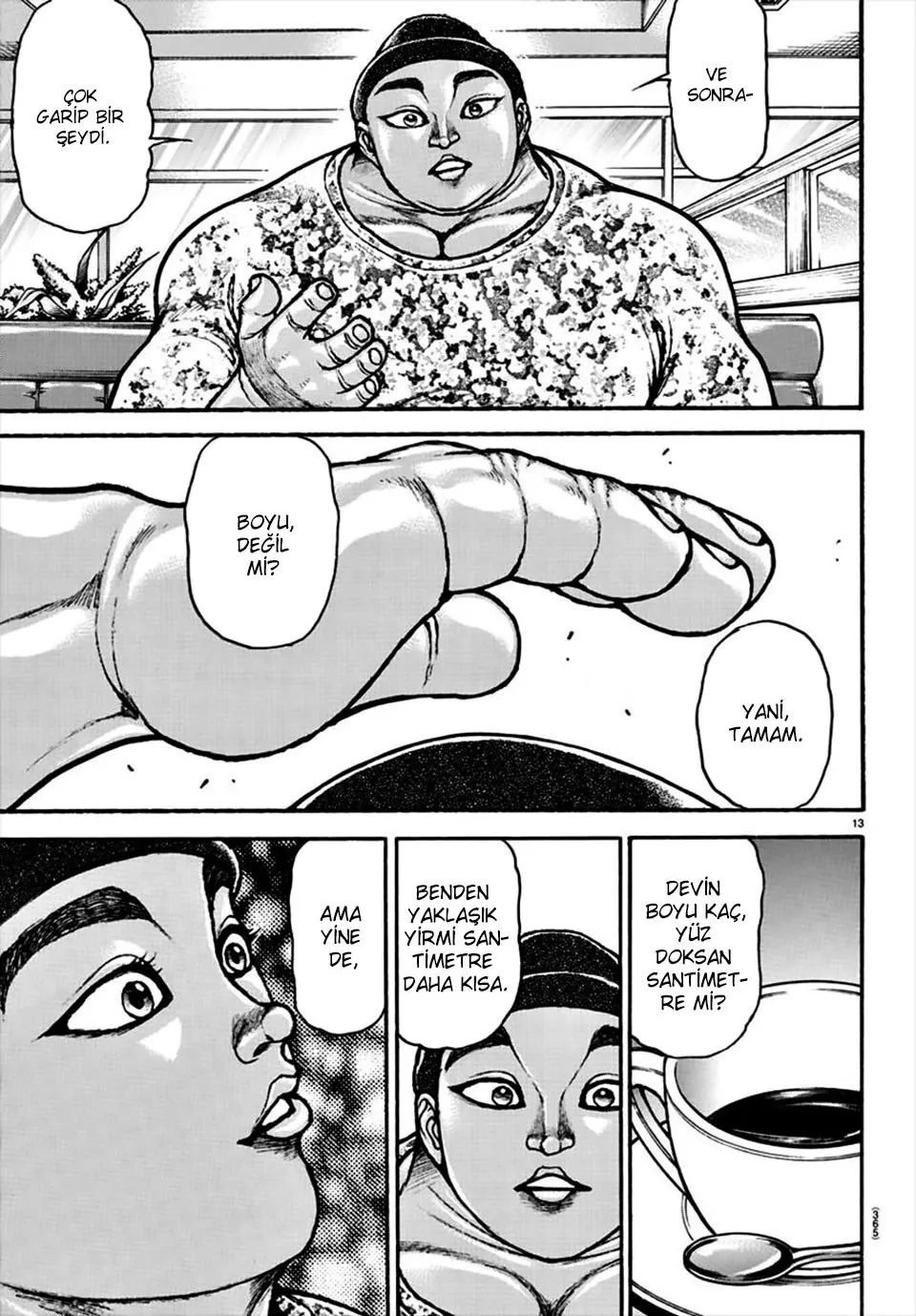 Sayfa 13