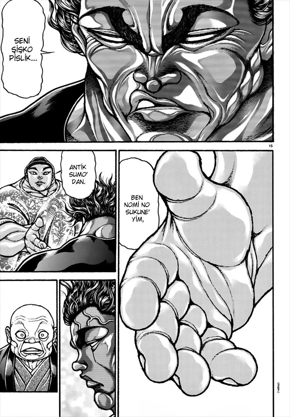 Sayfa 15