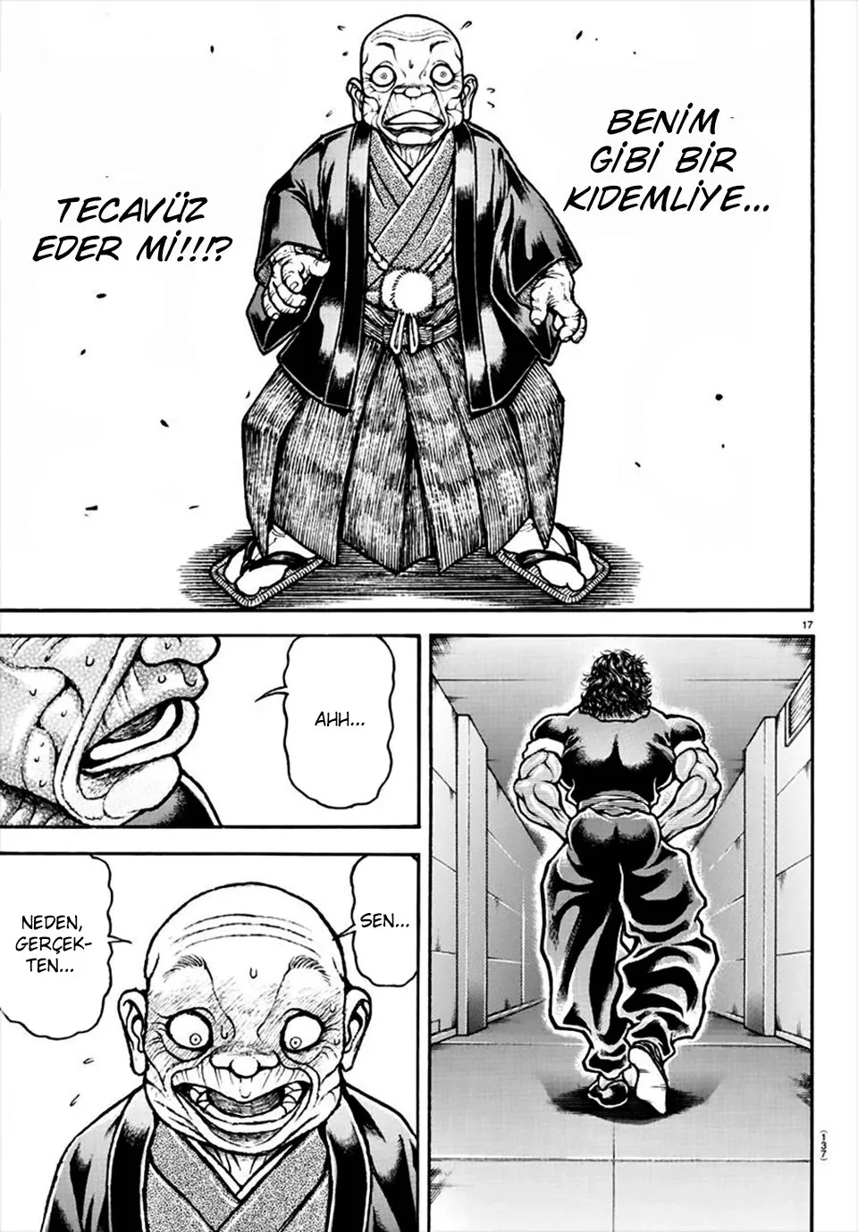 Sayfa 17