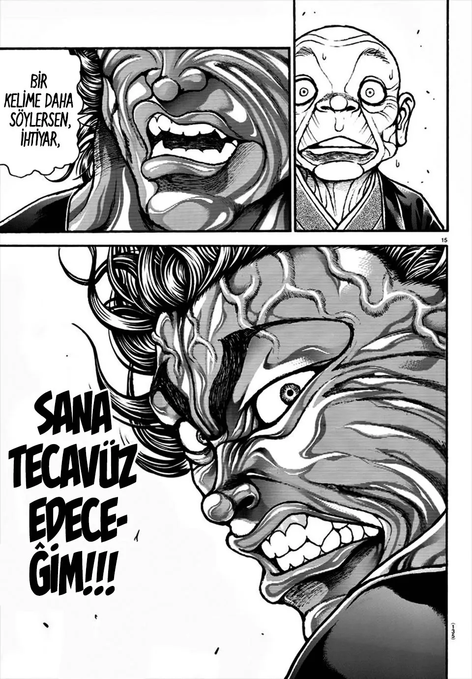 Sayfa 15