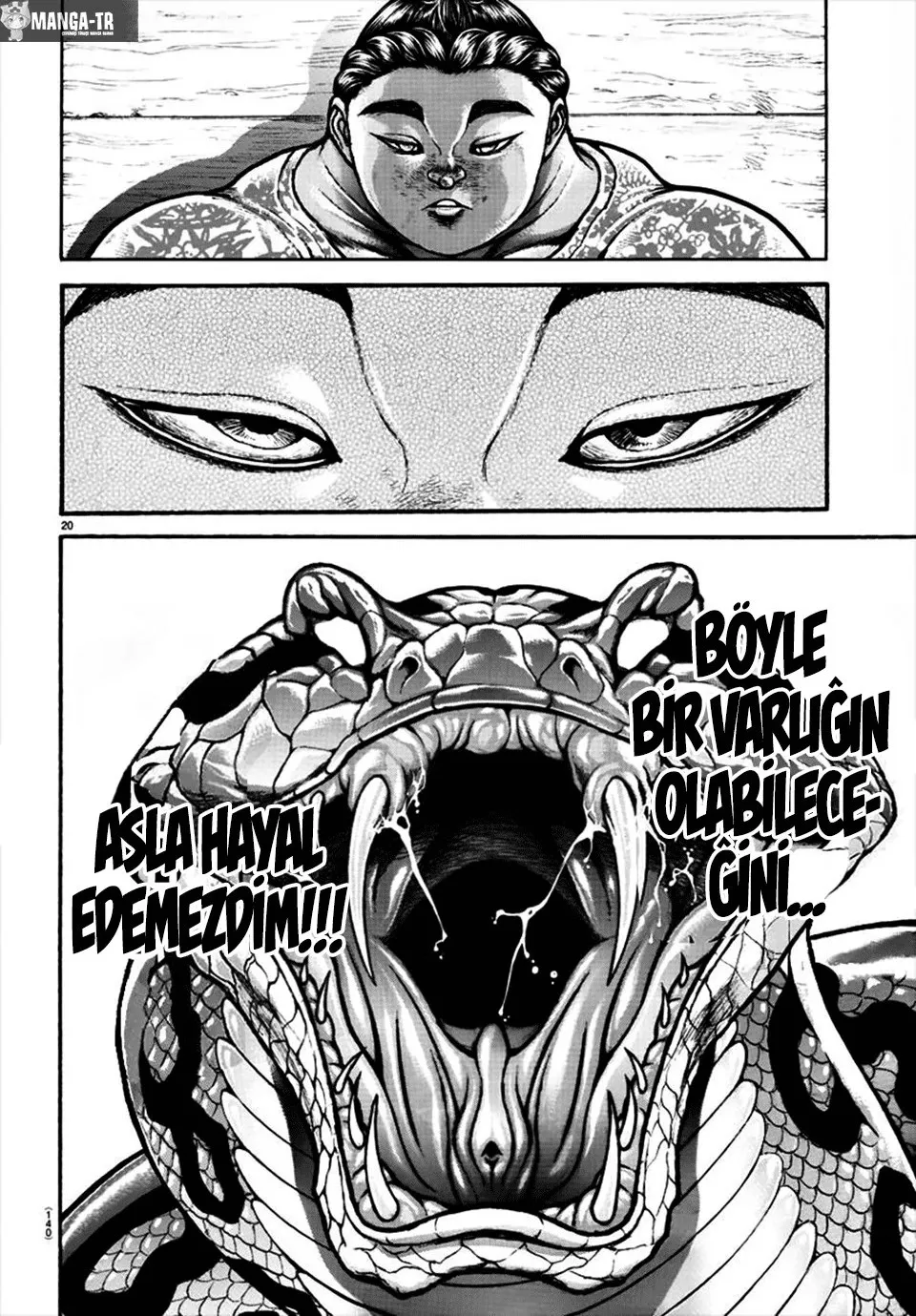 Sayfa 20