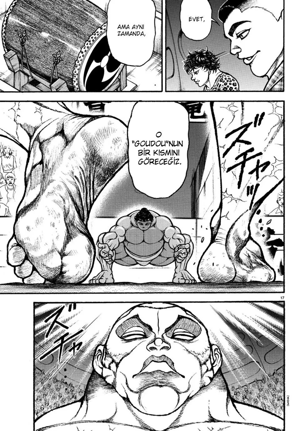 Sayfa 17