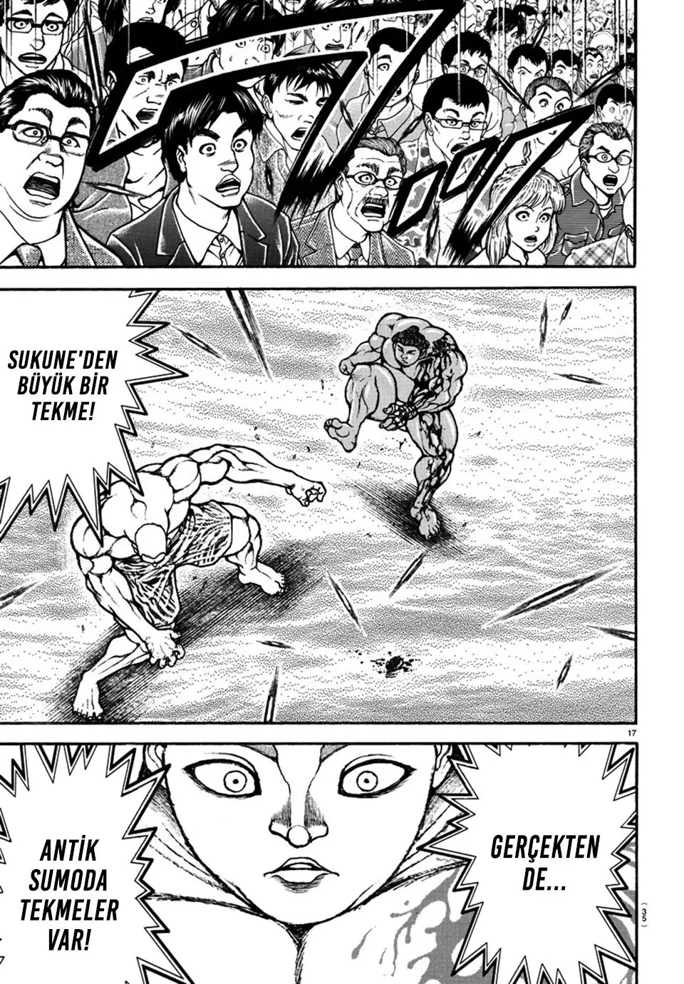 Sayfa 17