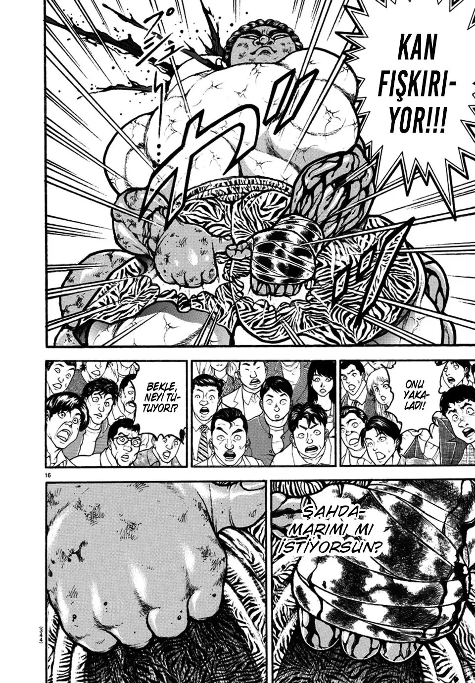 Sayfa 16