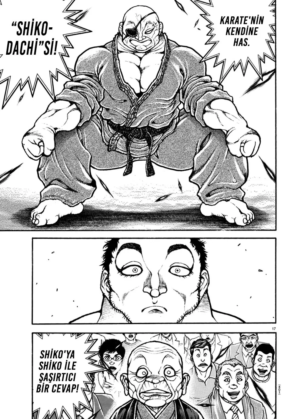 Sayfa 17