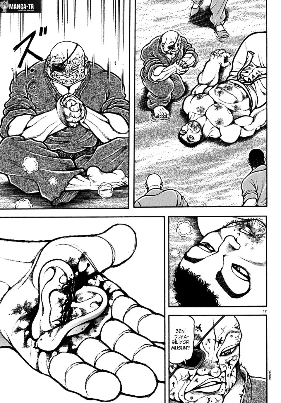 Sayfa 17