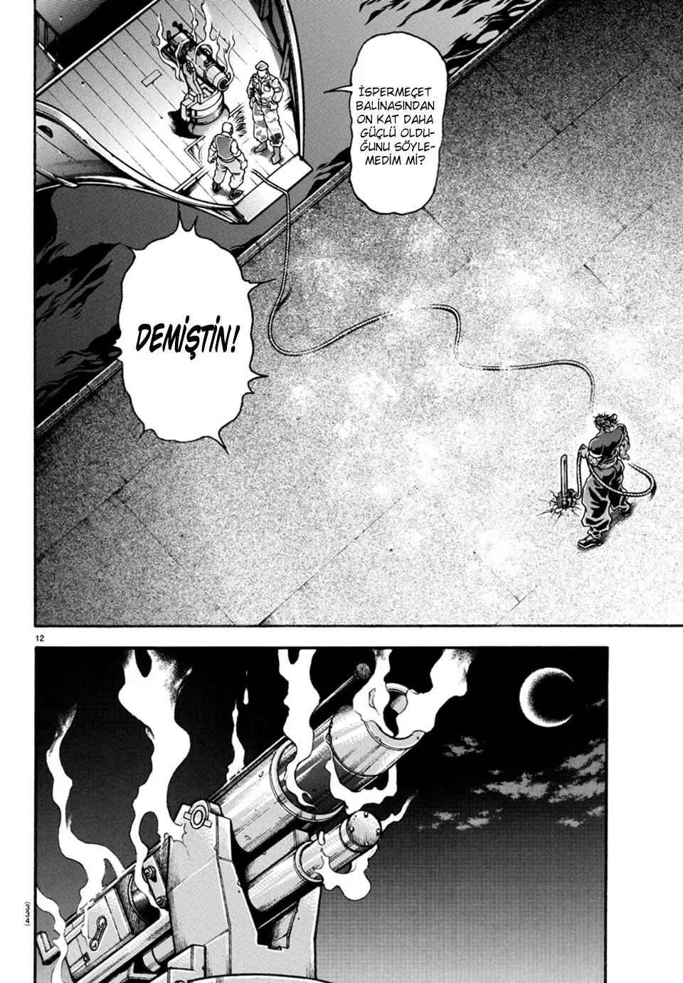 Sayfa 12
