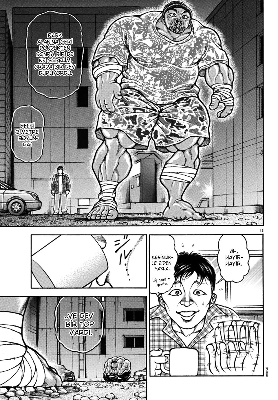 Sayfa 13