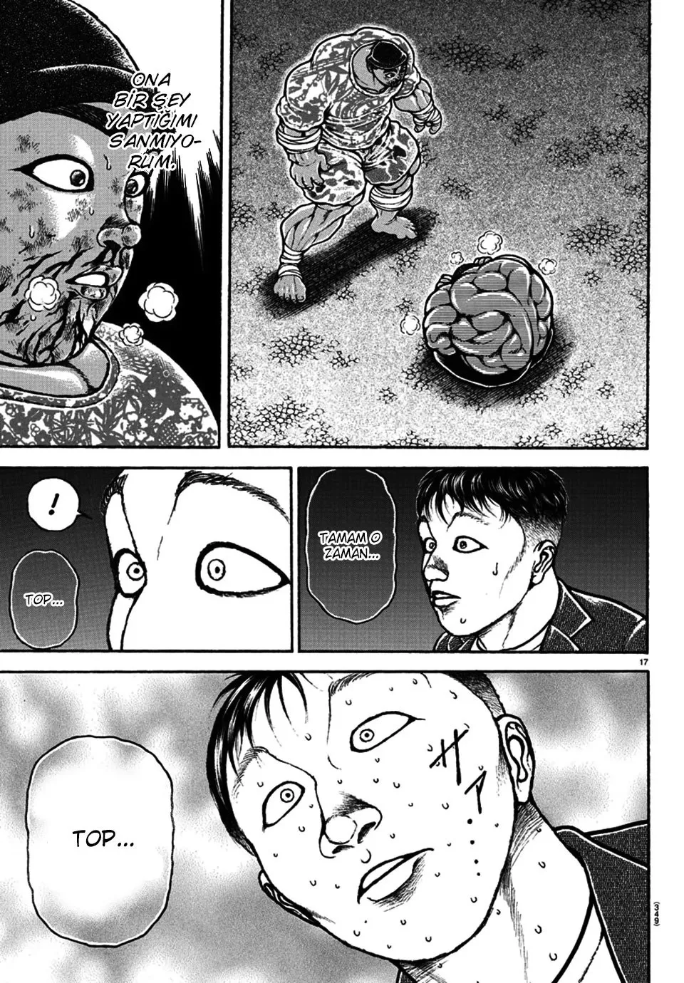 Sayfa 17