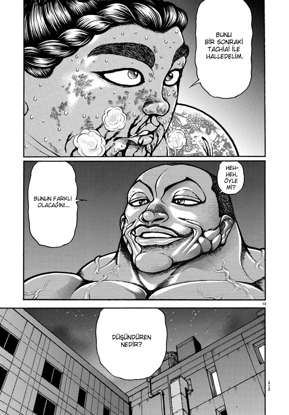 Sayfa 13