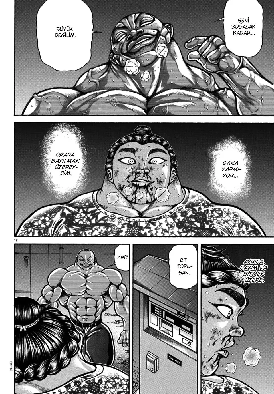 Sayfa 12