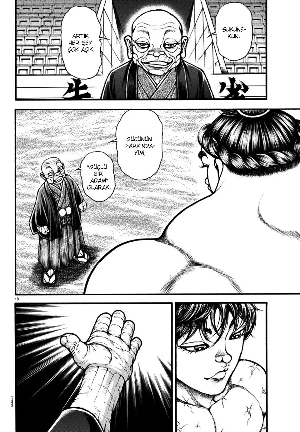 Sayfa 17