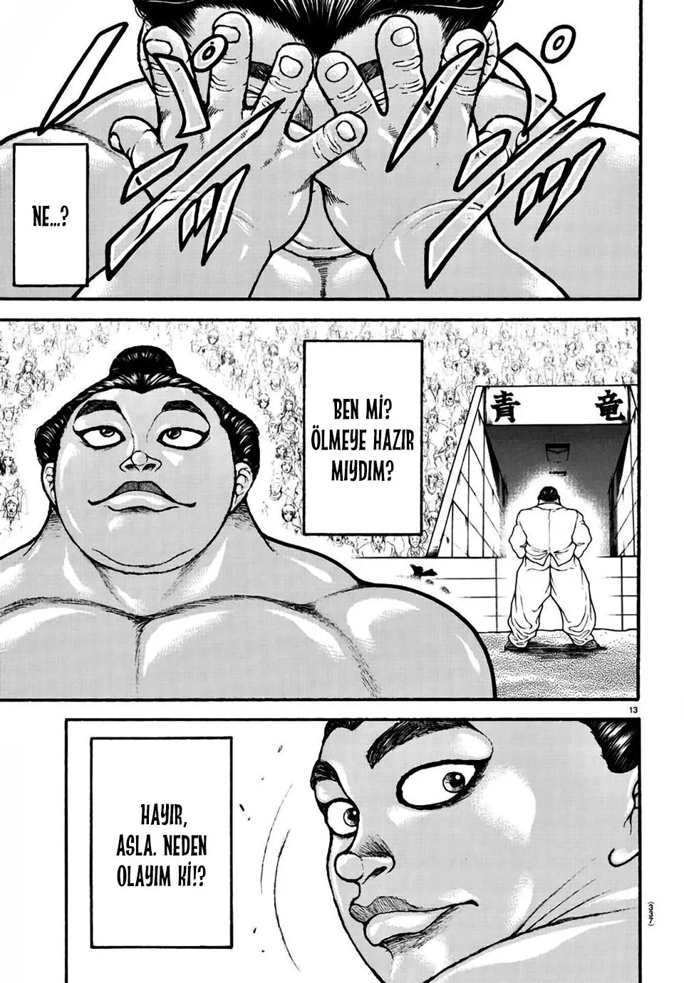 Sayfa 13