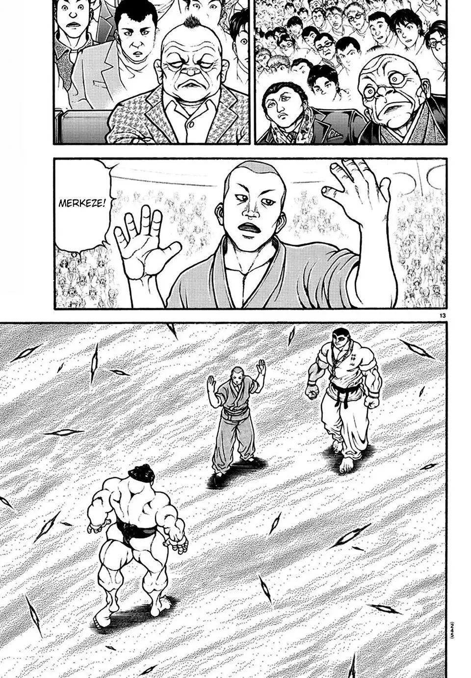 Sayfa 13