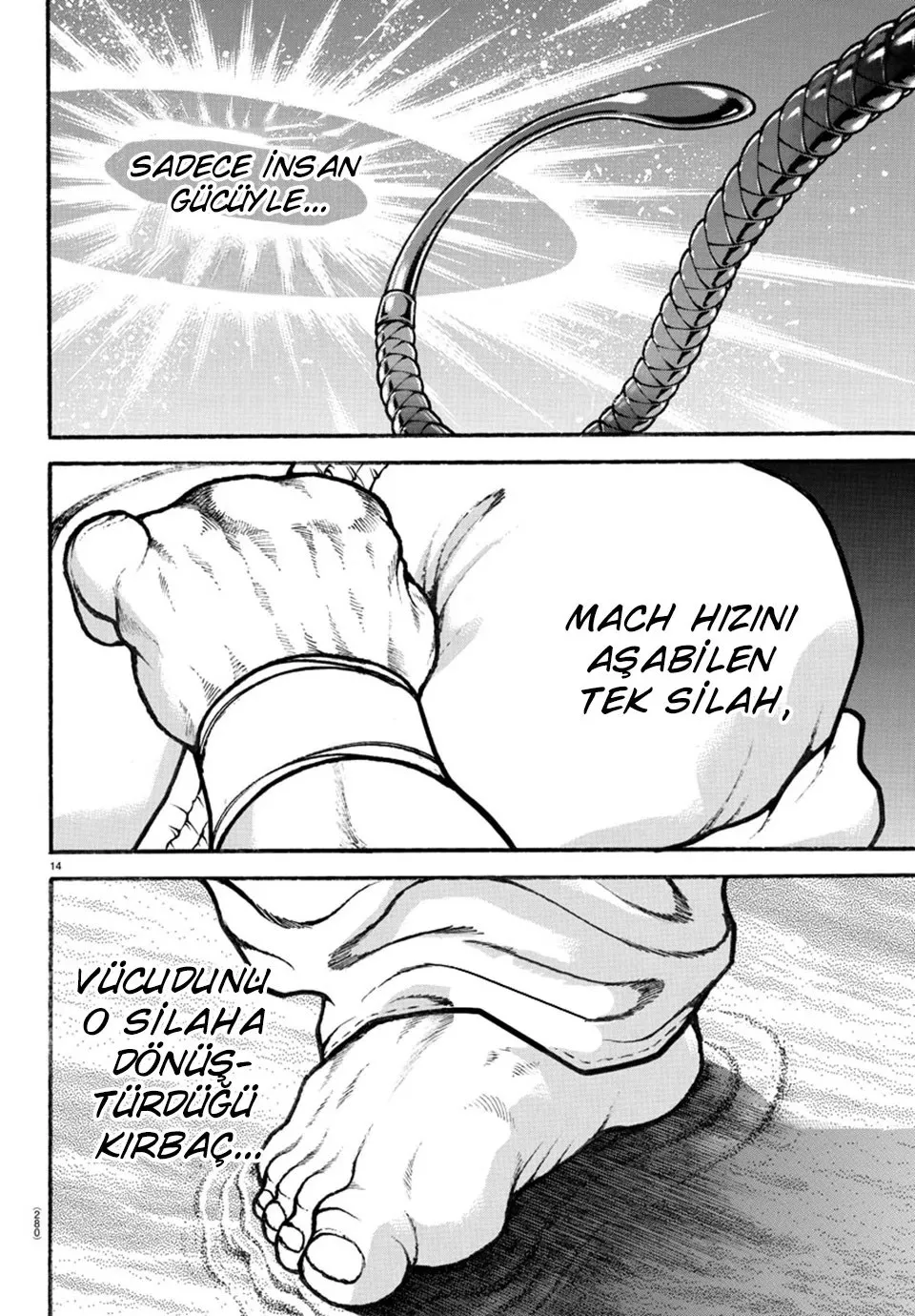 Sayfa 14