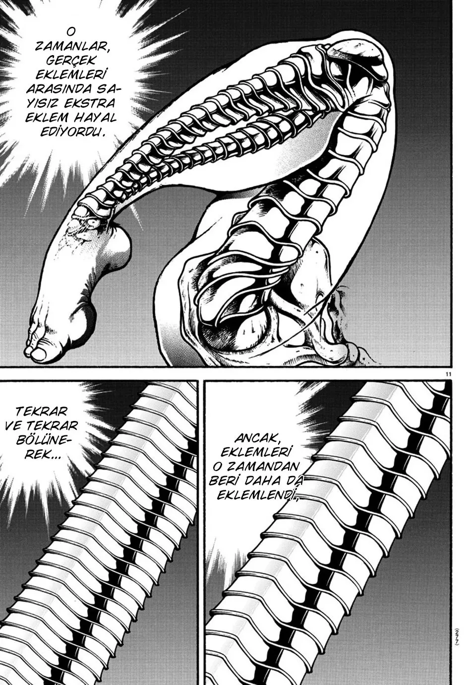 Sayfa 11