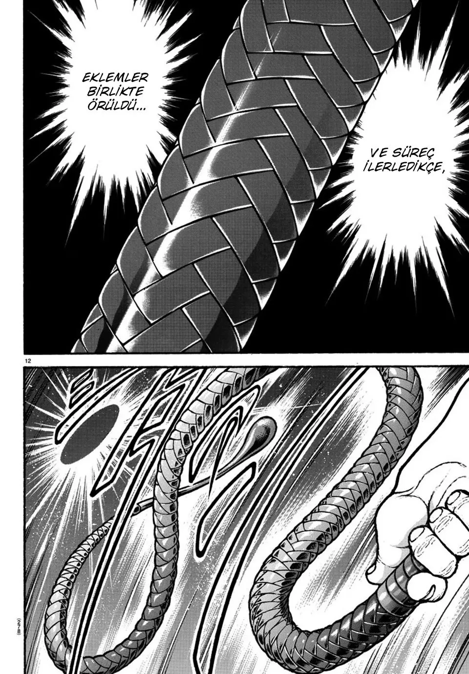 Sayfa 12