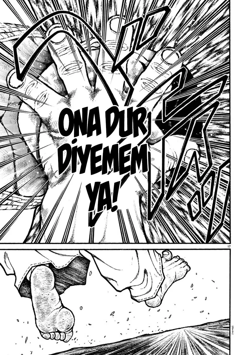 Sayfa 17