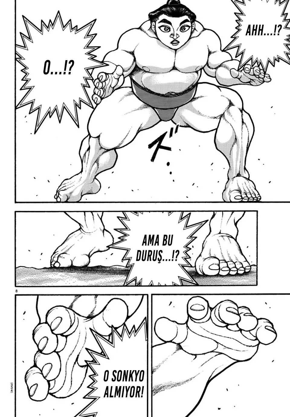Sayfa 8