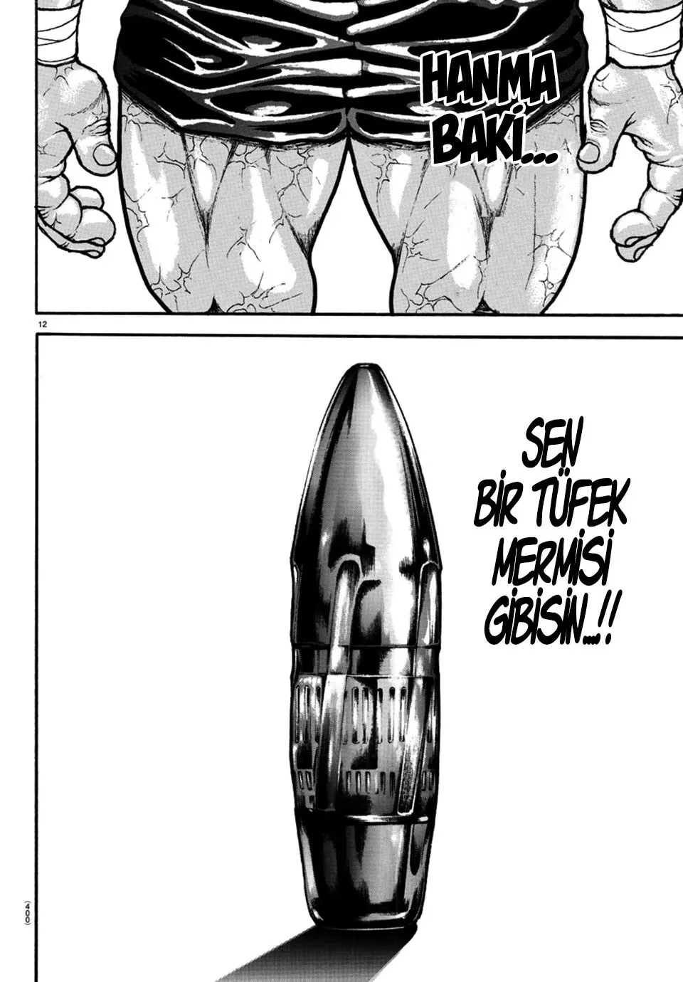 Sayfa 12