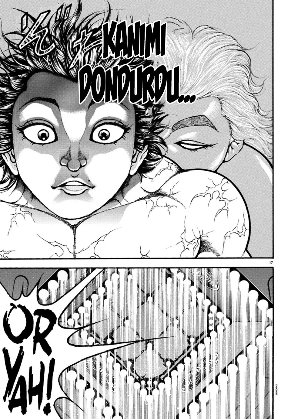 Sayfa 17