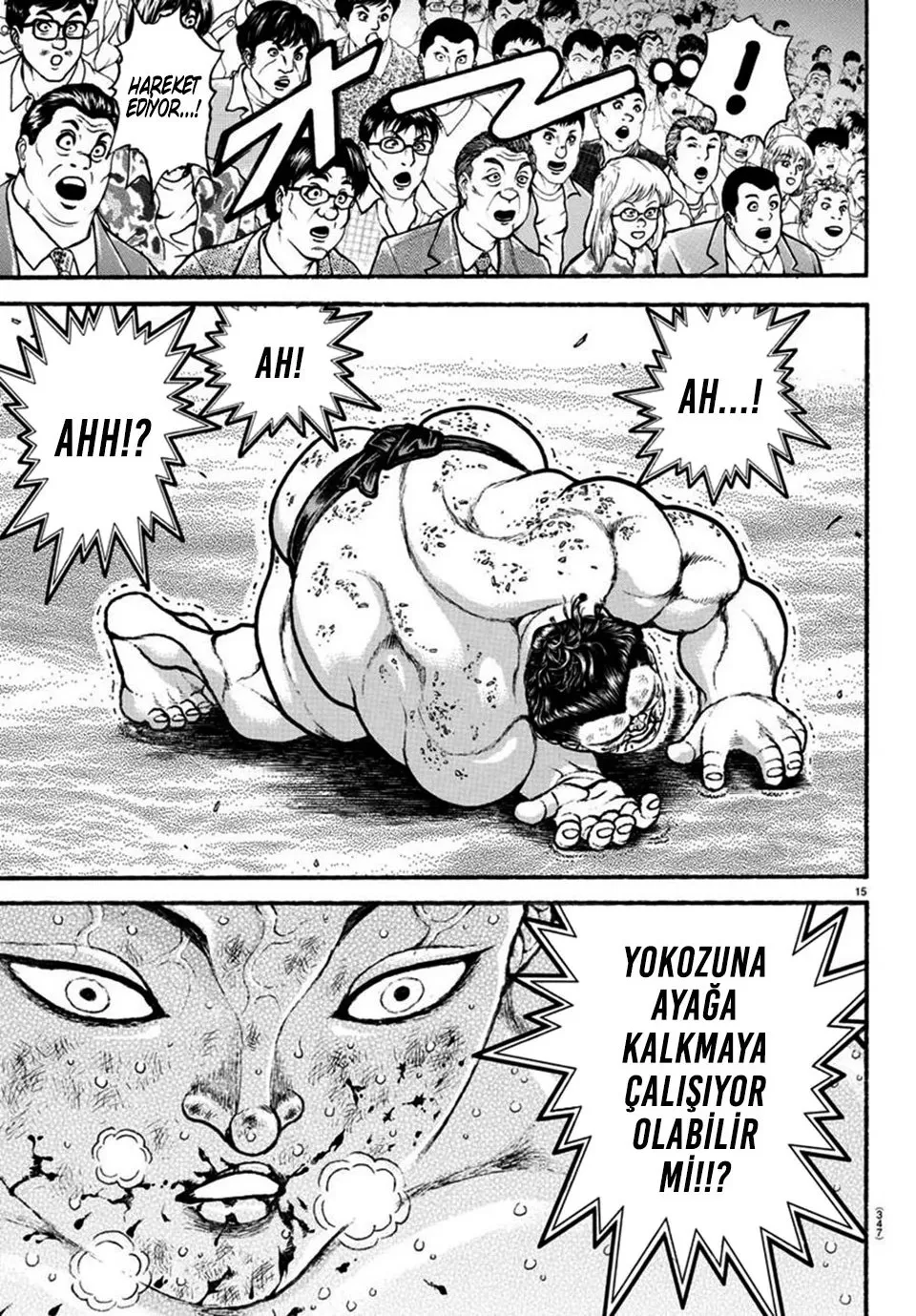 Sayfa 15
