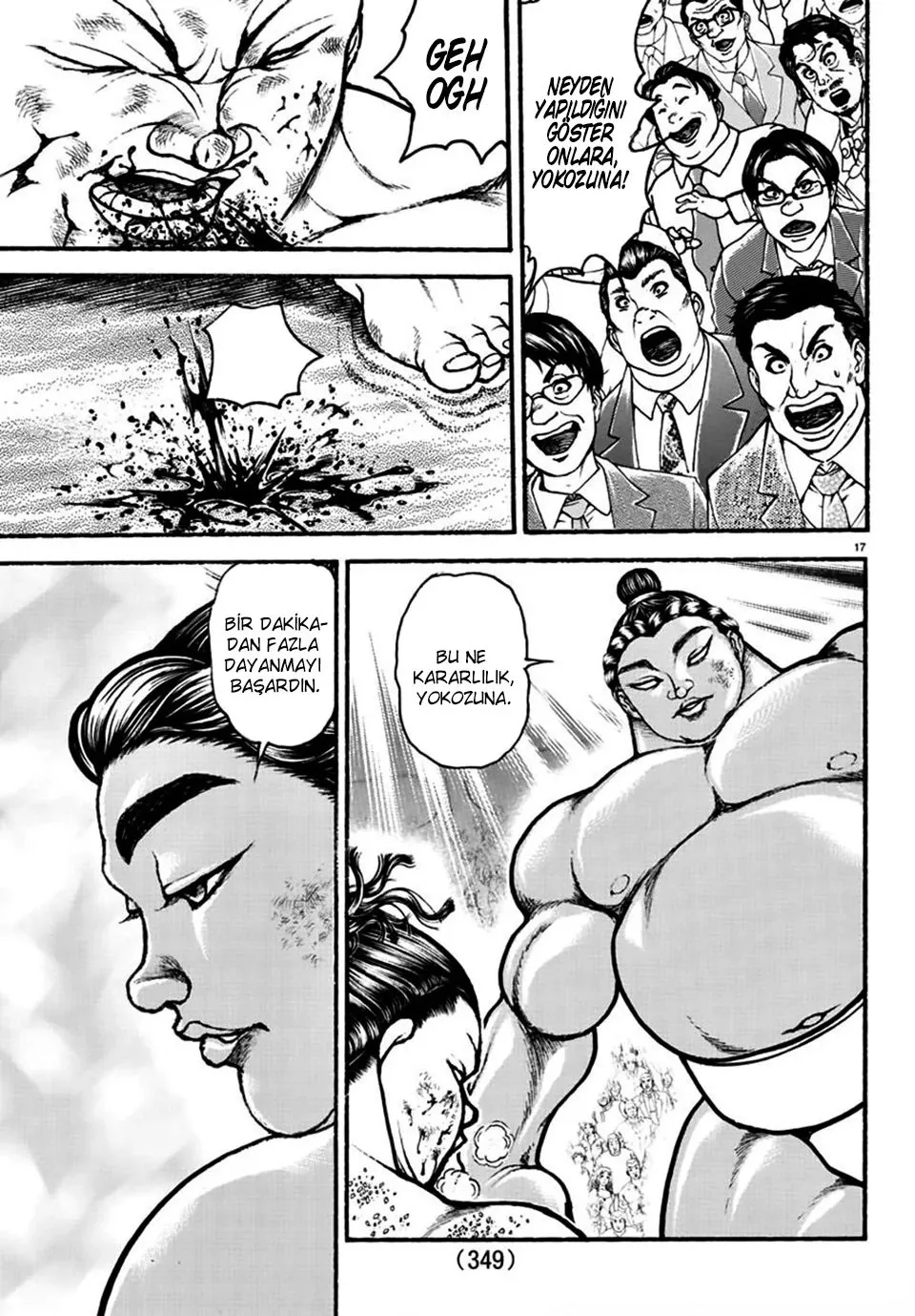Sayfa 17