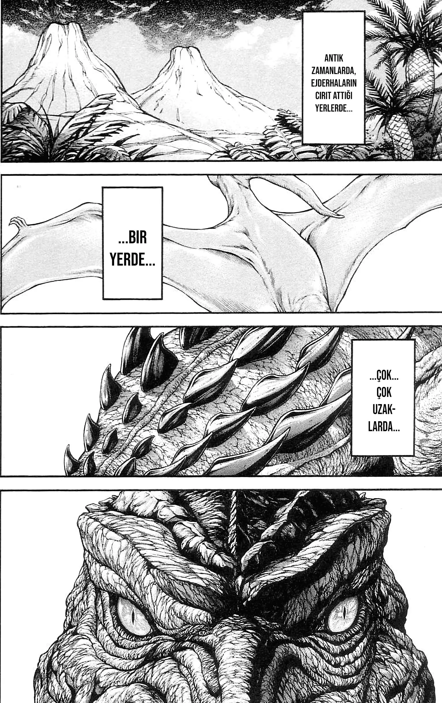Sayfa 3