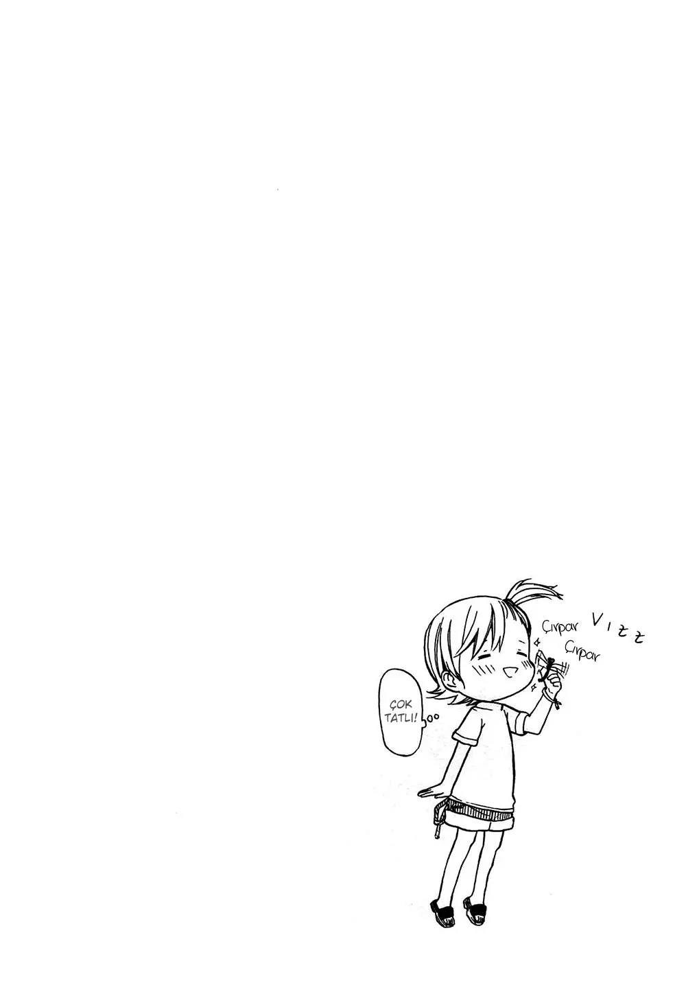 Sayfa 11