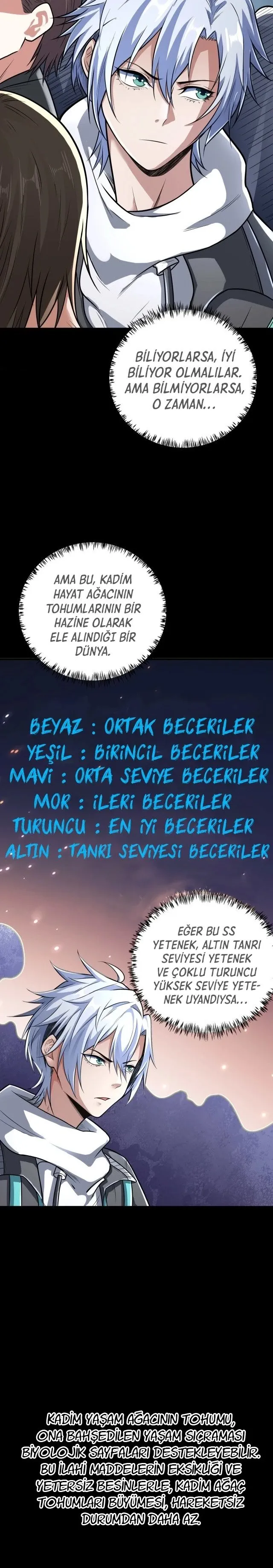Sayfa 17