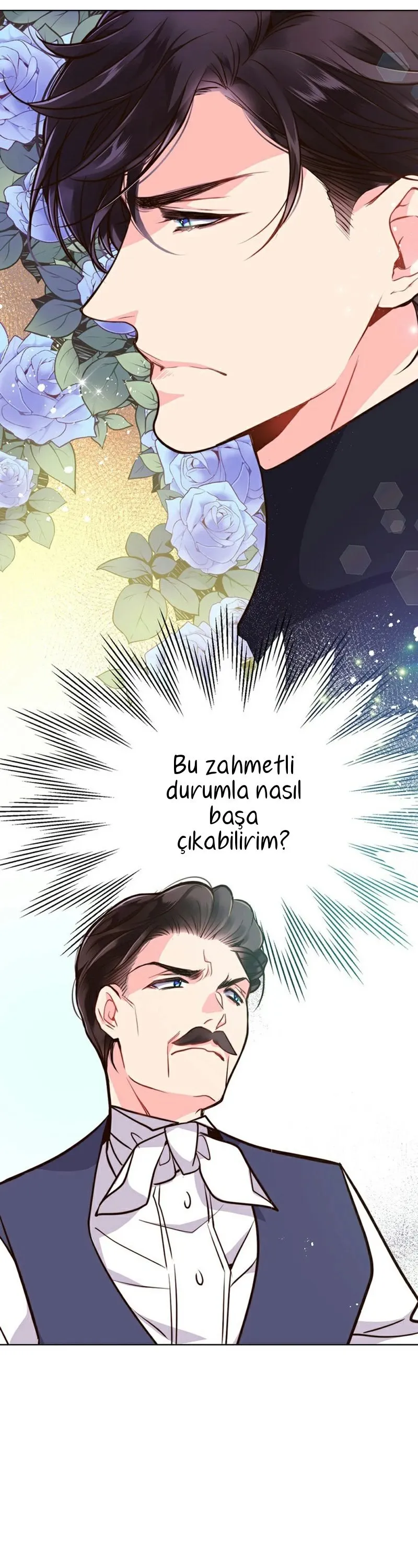 Sayfa 17