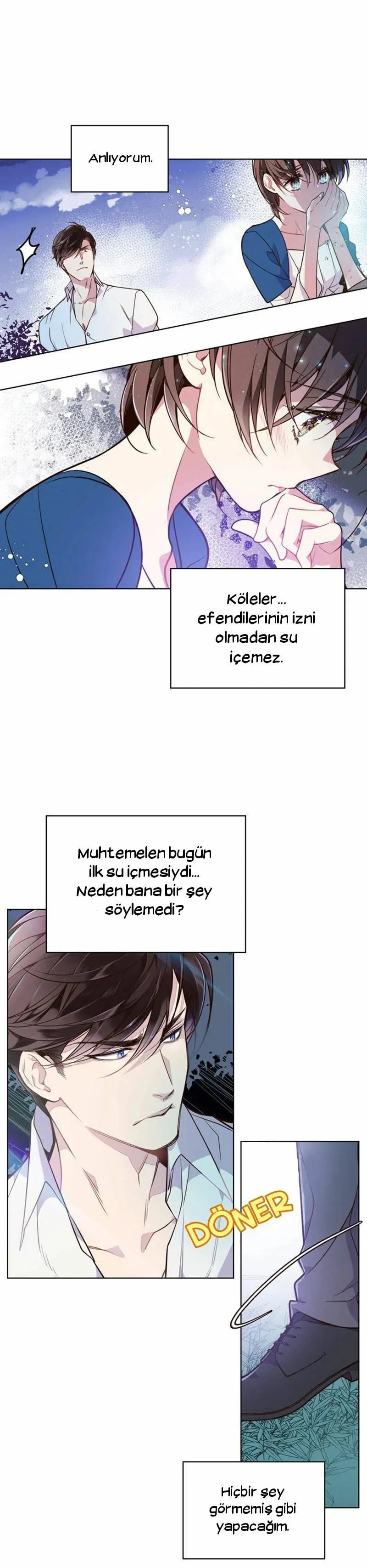Sayfa 17