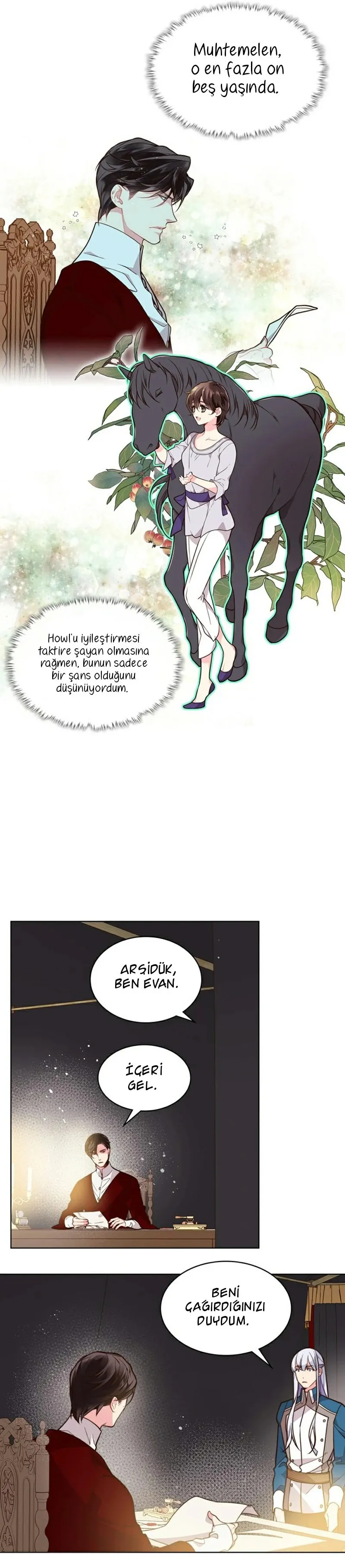 Sayfa 13