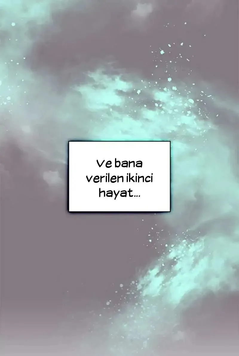 Sayfa 31
