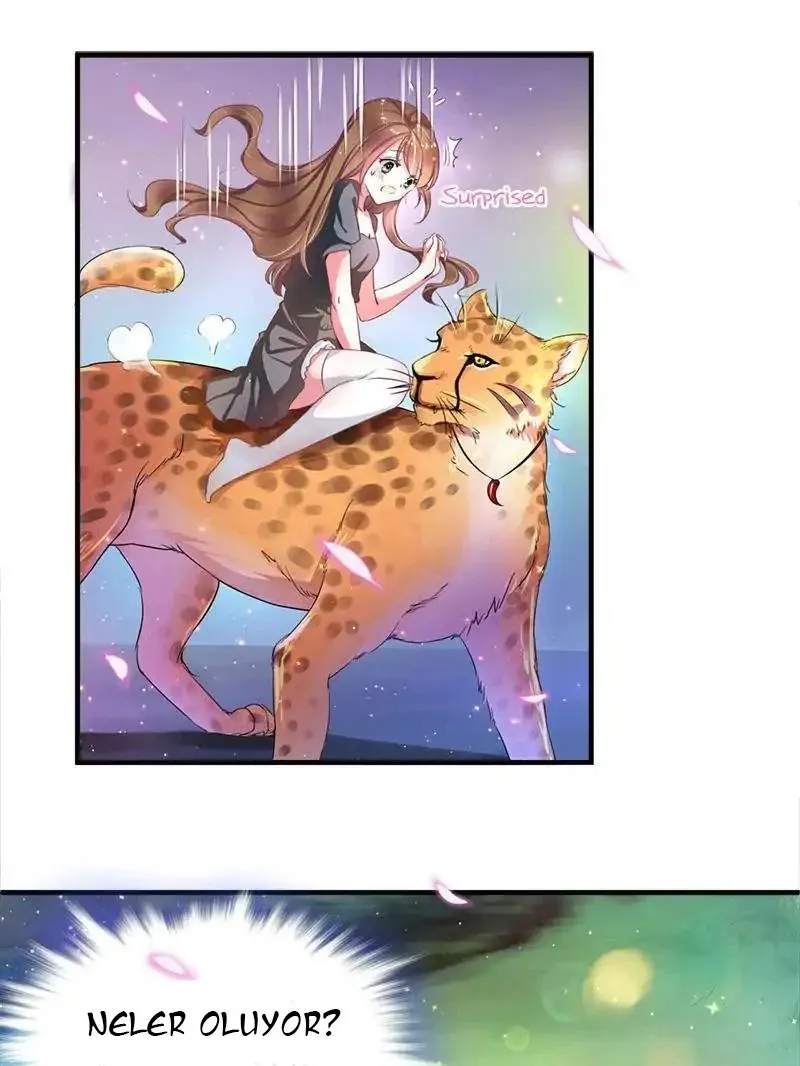 Sayfa 69