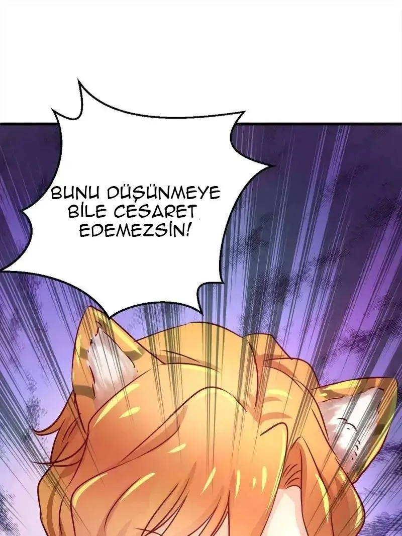 Sayfa 52