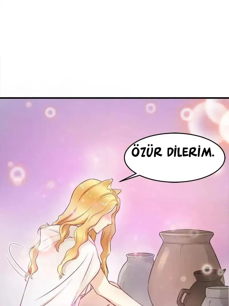 Sayfa 31