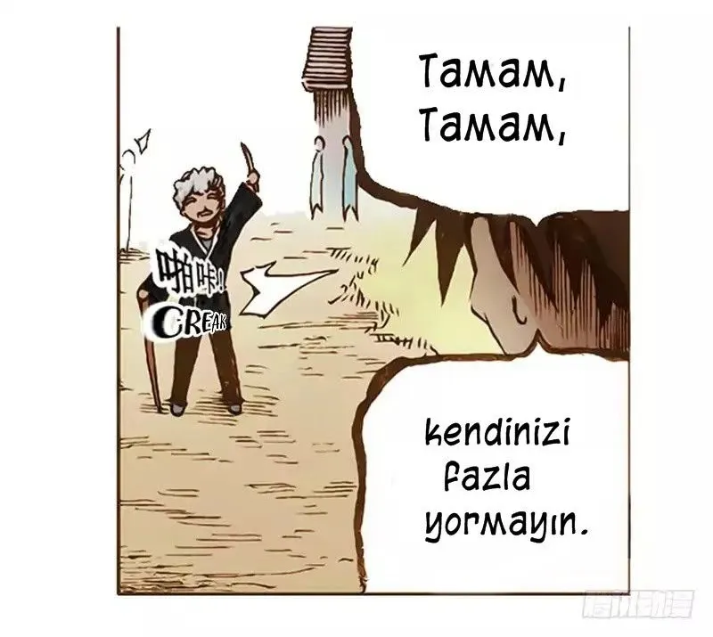 Sayfa 17