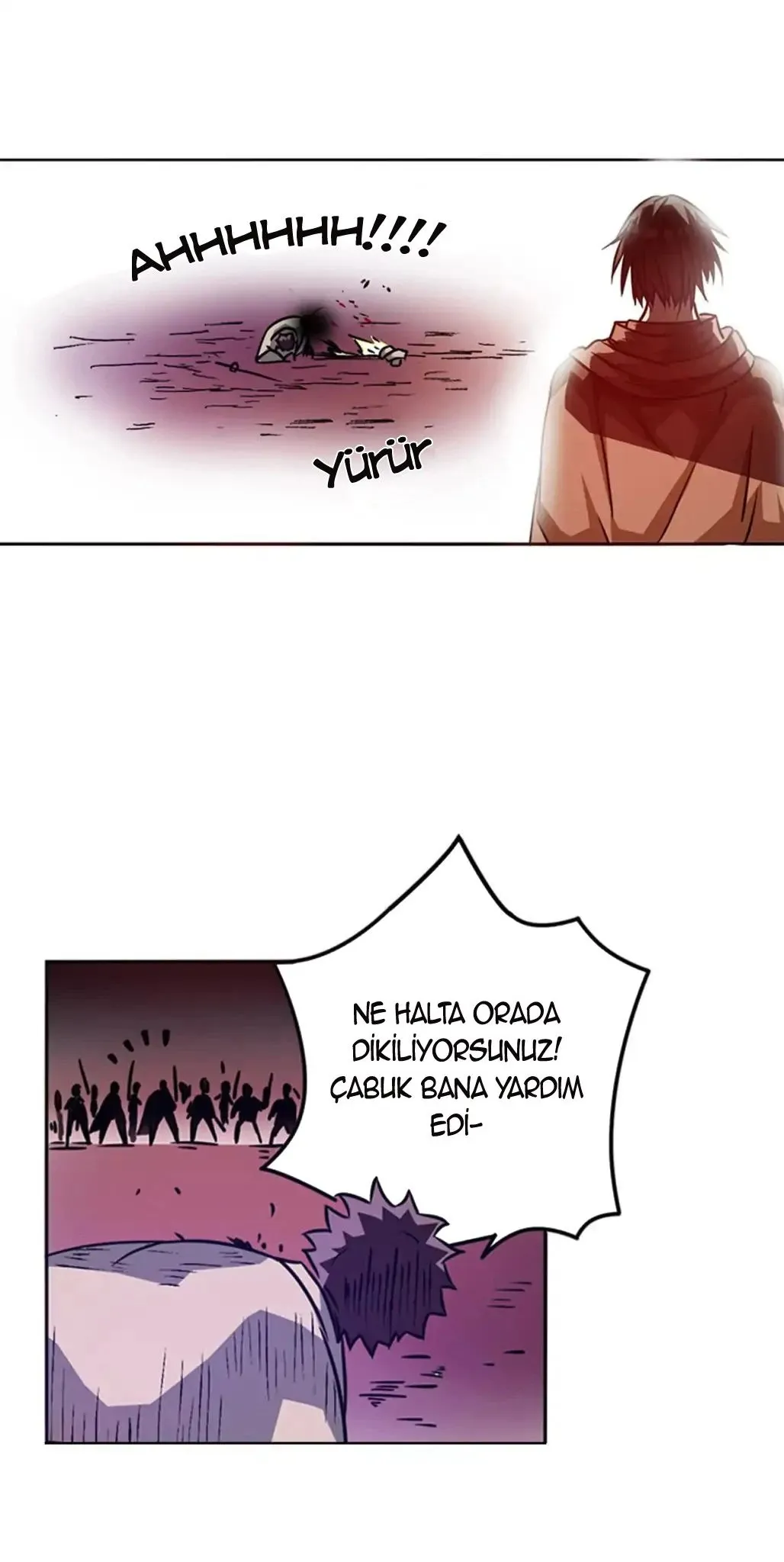 Sayfa 17