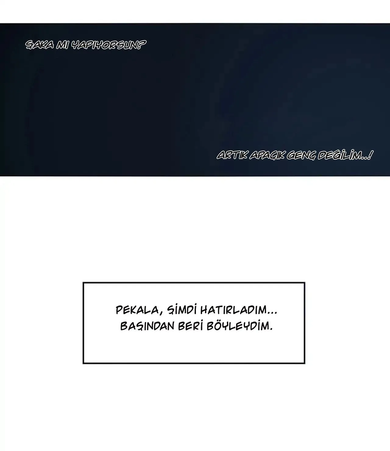 Sayfa 4