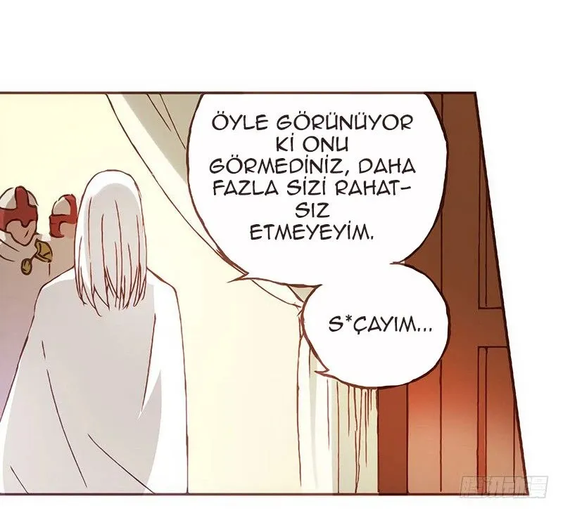 Sayfa 17