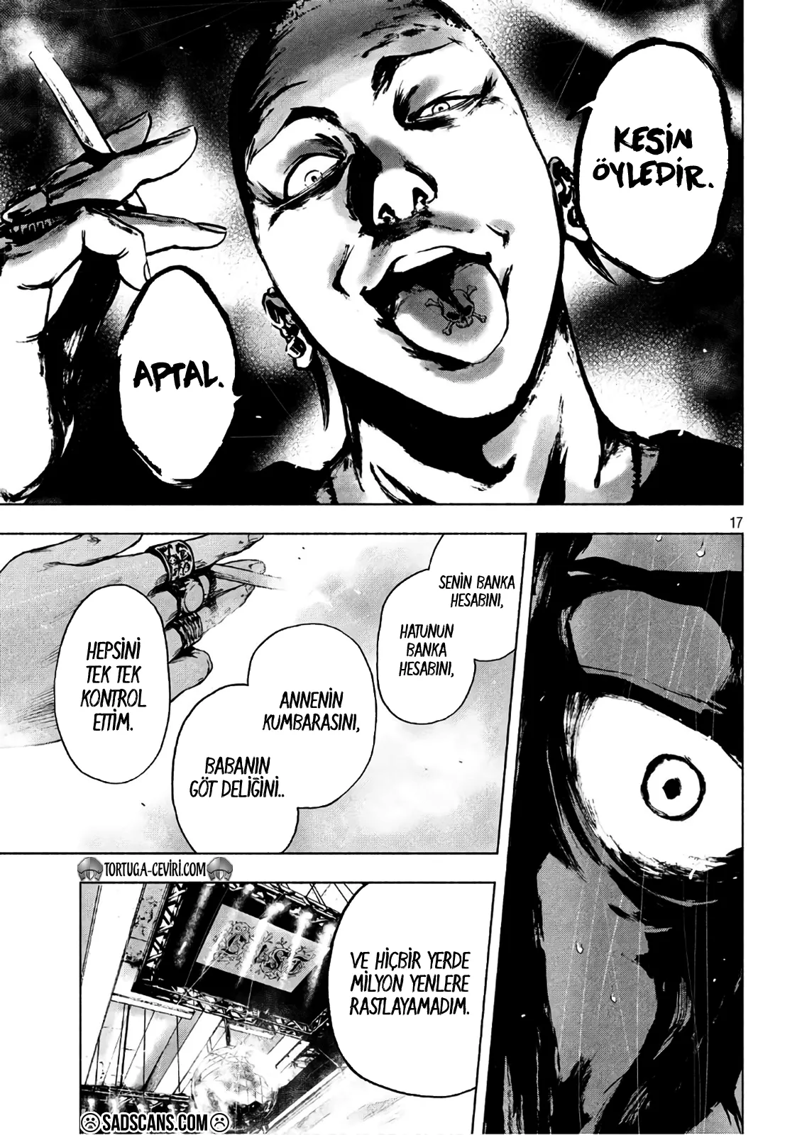 Sayfa 17