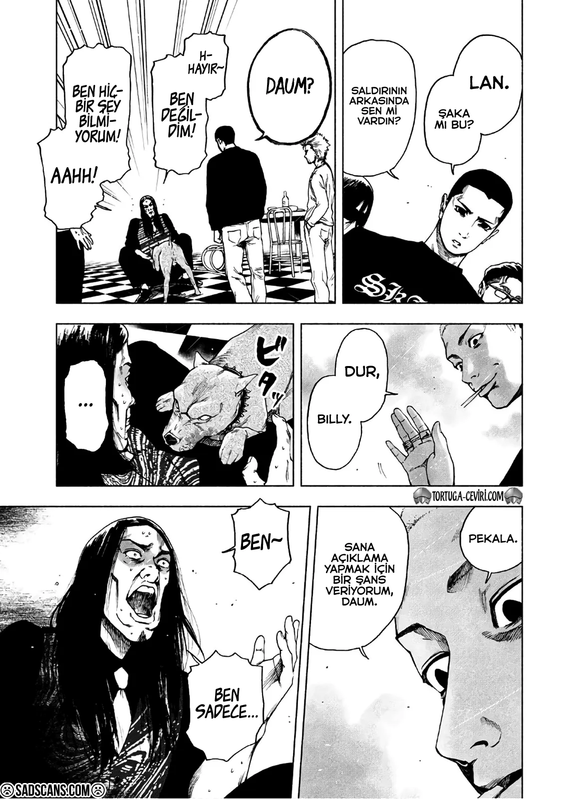 Sayfa 13