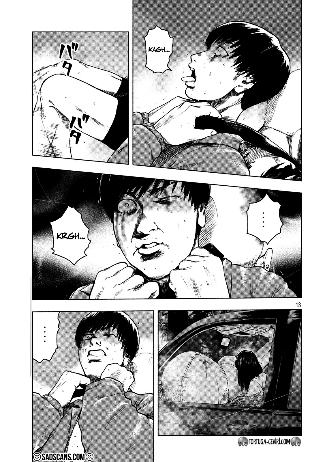 Sayfa 13